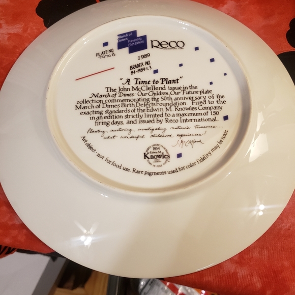 Decorative Plate - Picture 4 of 4